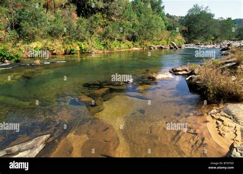 Nyanga River .